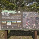 민오름 | 제주 숨은 오름 명소, 민오름 방문 후기 (사려니숲길 주차장 이용)