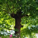 담장예쁜집 이미지