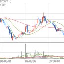 SNH_현재주가 근처인 2,480원대에 주요매물대가 존재 이미지