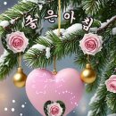 안씨고집 이미지