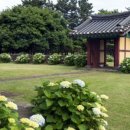 아라민박 이미지