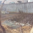 내곡동269 이미지