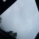포레스트뮤직테라피 | 충청도여행 1탄, 완전 힐링하고 온 리솜포레스트제천 ♡