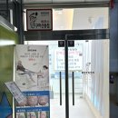 레푸스구미산동점