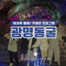 ㈜광명산업개발 | [주말반 외부활동] 여름에 방문하기 좋은 광명동굴 후기!