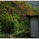 산디 티스토리