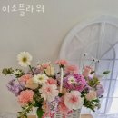 이소플라워 네이버블로그