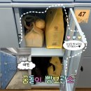 수민다방 | [대전] 성심당 빵 보관 내돈내산 이용후기 (위치, 가격, 꿀팁) | 꿈돌이 빵 보관소