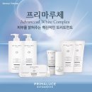 프리마루체 이미지