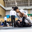 아레나주짓수 이미지