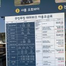 우신자동차정비 | [평창여행] 용평리조트 👉 마운틴코스터+루지+발왕산케이블카+스카이워크 후기