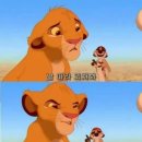 하쿠나마타타 이미지
