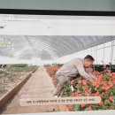 꽃회사농장 이미지