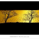 더가야 - 진주시 나불로21번길 74 | 더가야