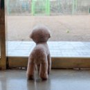 멍분의 멍 이미지