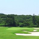 테디밸리CC 네이버블로그