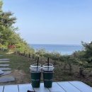 스테이해하 이미지