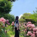 대형농장 3호 이미지