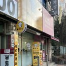 천사 애견 | 구로 애견미용 이뿌개에서 포메 곰돌이컷 받은 솔직후기