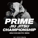파라에스트라양주주짓수mma
