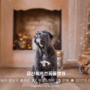 Dr.j 동물병원 이미지