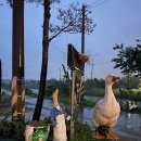 호정농장 이미지