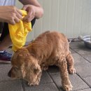 멍스퀘어 이미지