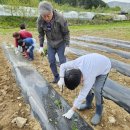 추곡초등학교 이미지