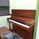 사랑음악학원 이미지