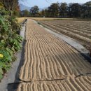 계절여행 이미지