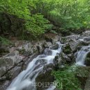 백운산등산로4코스 투어코리아
