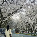 금락정(부용리) 화장실 이미지