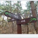 시례농장 이미지