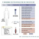 인체 장내세균_한국의과학연구원 마이크로바이옴센터 이미지