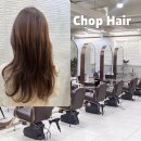 내가잘가는현대카클리닉 | 잠실 송파 미용실 chop 헤어 앨리실장님 데미클리닉 머릿결관리