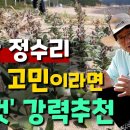 휑한 정수리 탈모 고민이라면 '이것' 강력추천 이미지