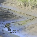 신평동1066 이미지