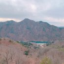 생1리 | 충북 여행지 옥천 옻문화단지 어깨산 임도 트레킹 하이킹 코스 소요시간