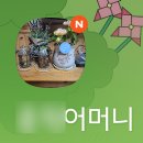 스윗비초콜릿 | W05-②. 남자친구 부모님 첫인사 선물｜부산 전포 식물가게 '라반다', 덕천 '스윗비초콜릿' 부산 선물 추천