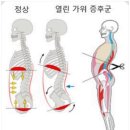 도당PC | 도당동 헬스장 신연호 트레이너 소개