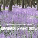 청양가설