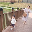 스테이 베프 이미지