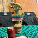 칸스 KANS 이미지