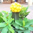 (주)소셜원 이미지