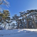 2024년 갑진년 해맞이행사 이미지