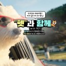 (주)하나관광 해외여행사 이미지