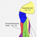 강남연세신통의원 이미지