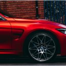 자동차사랑 이미지