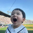 시율
