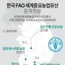 한국 FAO 세계중요농업유산 등재 현황 이미지